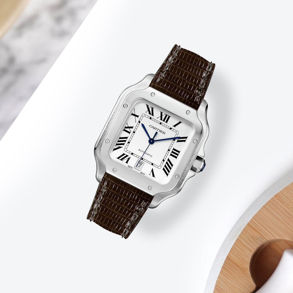 2liger-straps-lizard-