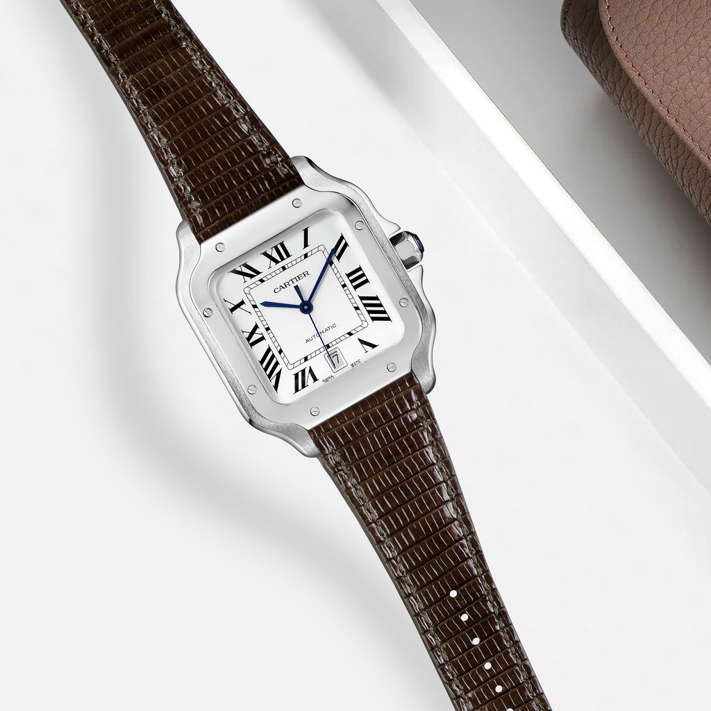 1liger-straps-lizard-